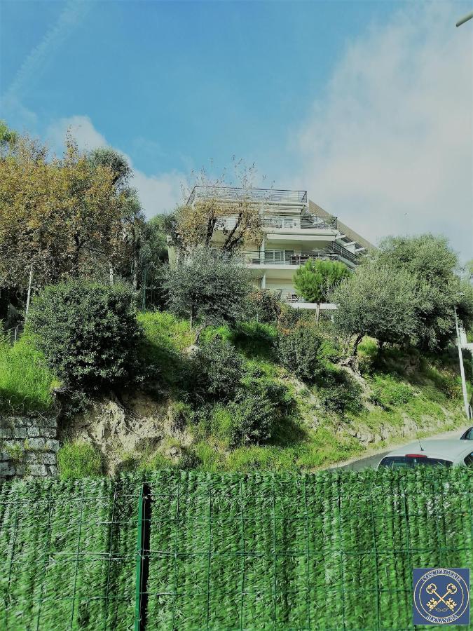 Nice View Jolie Studio Avec Jardin Buitenkant foto
